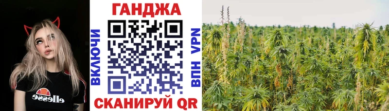 Как найти наркотики Людиново МЕТАМФЕТАМИН  mega как зайти  Гашиш  COCAIN  Конопля  Галлюциногенные грибы 