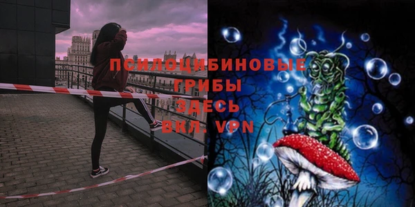 дживик Лихославль