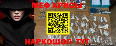 СК Кингисепп