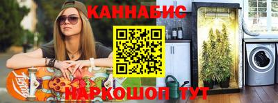 СК Кингисепп