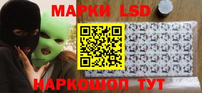 СК Кингисепп