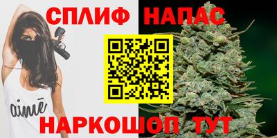 СК Кингисепп