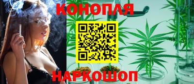 СК Кингисепп