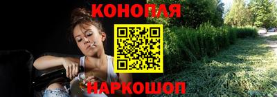 СК Кингисепп