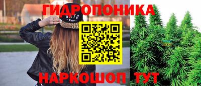 скорость Кимры