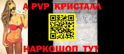 СК Кингисепп
