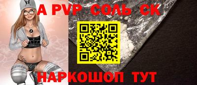 СК Кингисепп