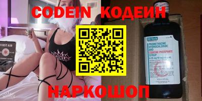 СК Кингисепп