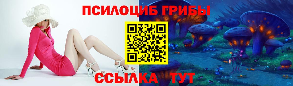 Псилоцибиновые грибы GOLDEN TEACHER  Вход с VPN  Псилоцибиновые грибы Psilocybe  Людиново 