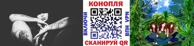 сколько стоит  Людиново  Каннабис планчик 